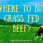 whre to buy grass fed beef