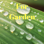 rain gauge for garden