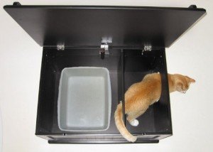 cat box open top view