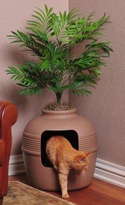 plant litter box