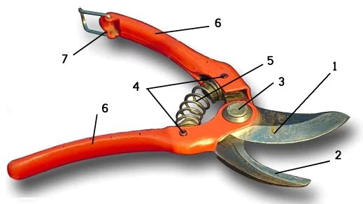 pruning shear and scissors